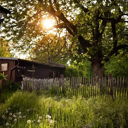 Gemuetliches Haus Mit Holzofen & Garten * ランツフート