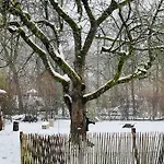 Σπίτι διακοπών Gemuetliches Haus Mit Holzofen & Garten *